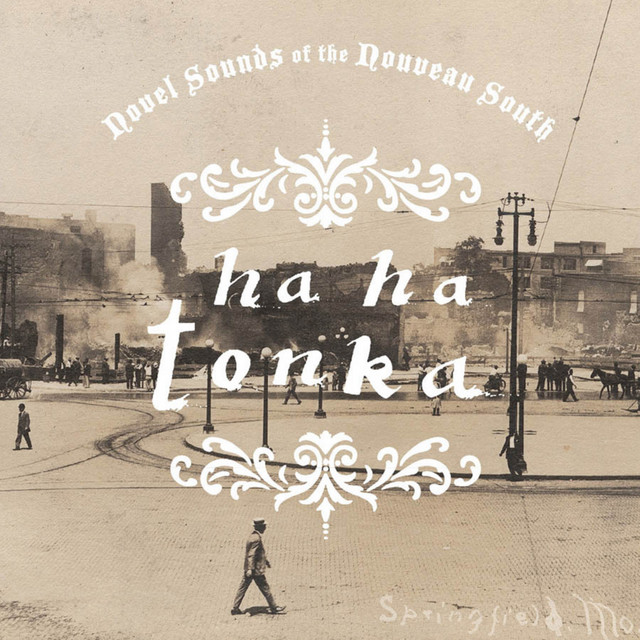Novel Sounds of the Nouveau South album cover