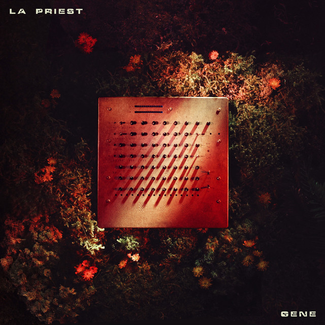 GENE album cover