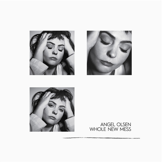 Whole New Mess album cover