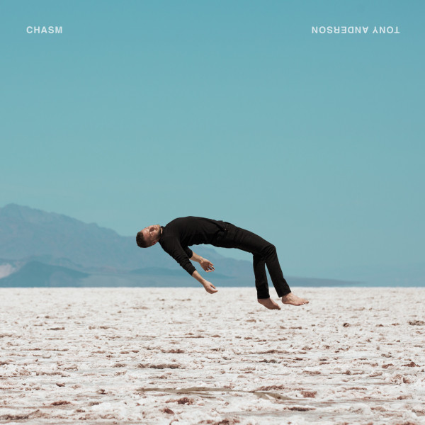 Chasm album cover