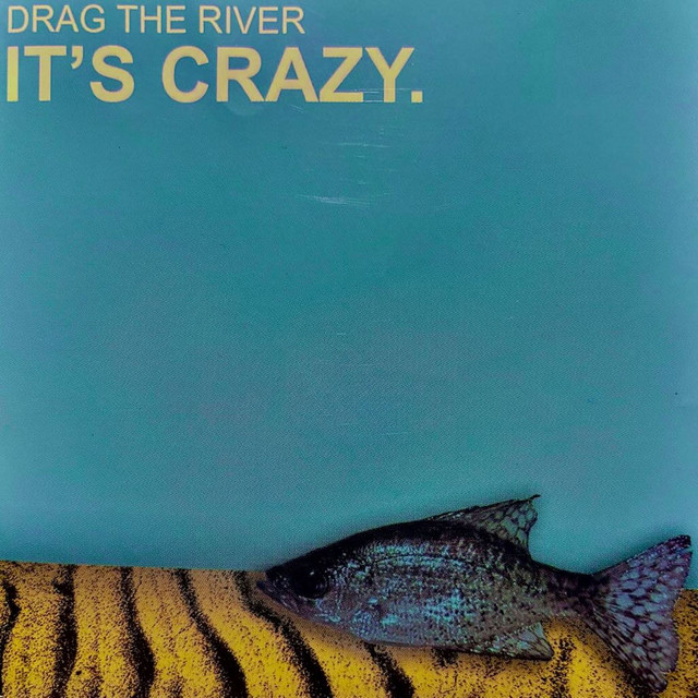 It's Crazy. album cover