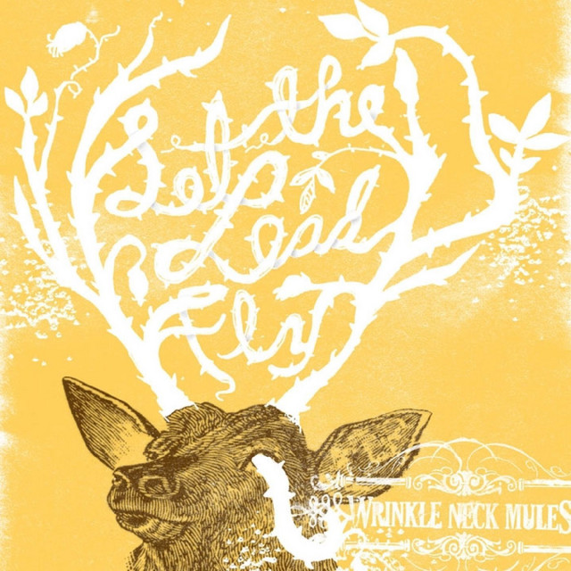 Let the Lead Fly album cover