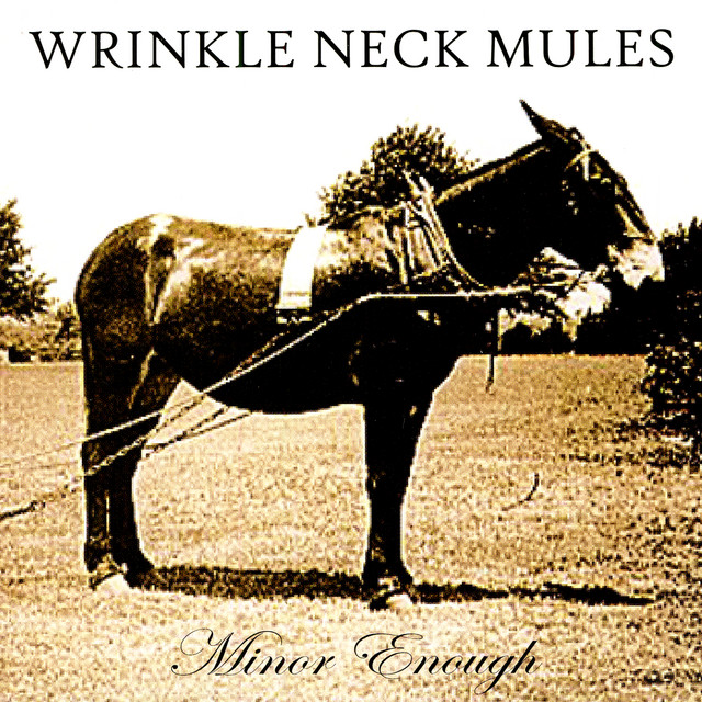 Minor Enough album cover