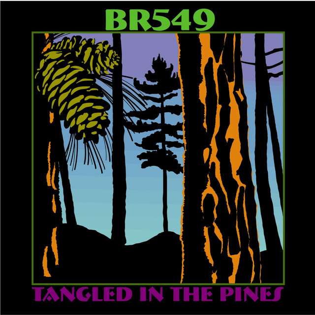 Tangled In The Pines album cover