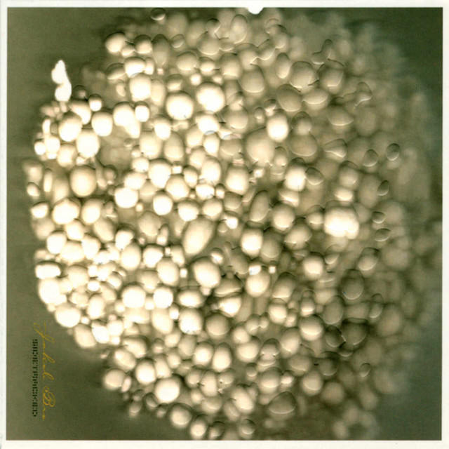 Sidetracked album cover
