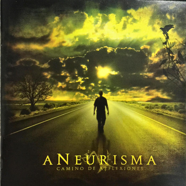 Camino de Reflexiones album cover