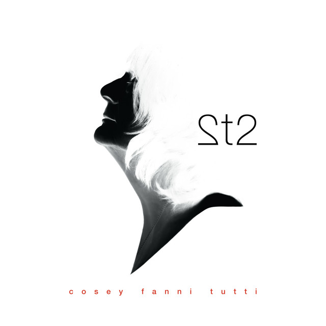 Soma Laboratory Terra as heard on 2t2 by Cosey Fanni Tutti (2025)