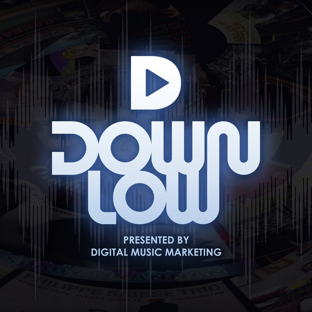 num (Down Low - Audio Companion) album cover