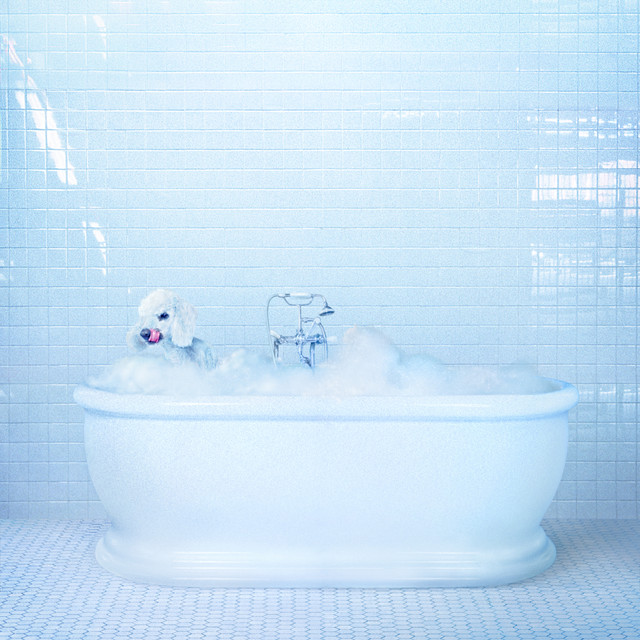 Vessel album cover