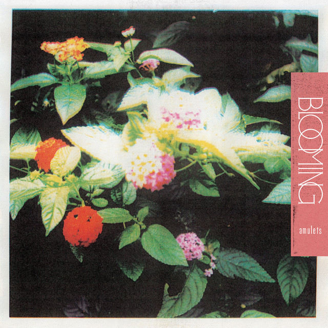 Blooming album cover