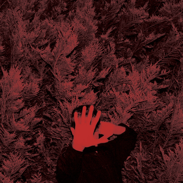 The Unborn Capitalist From Limbo album cover