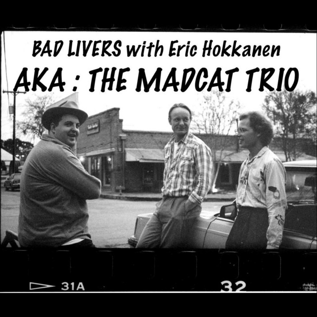 AKA The Mad Cat Trio (feat. Erik Hokkanen) album cover