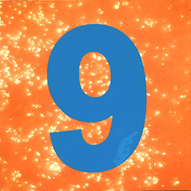 vol. 9 (SP1200 instrumentals 2004-2007) album cover
