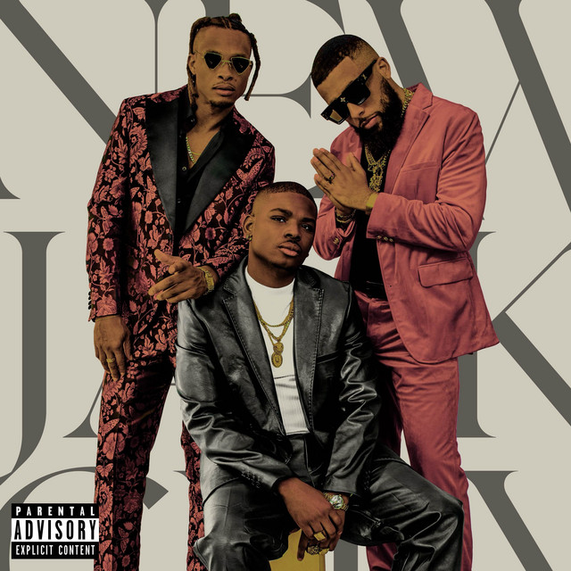 New Jack City album cover
