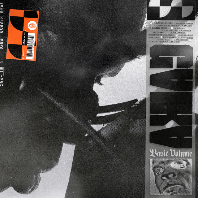 BASIC VOLUME album cover