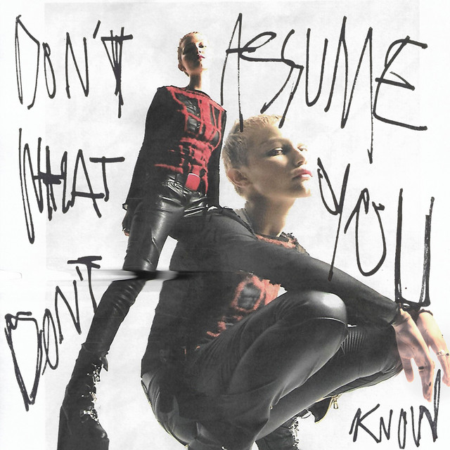 Fender Rumble V3 210 cab as heard on Don't Assume What You Don't Know by Grace VanderWaal (2021)