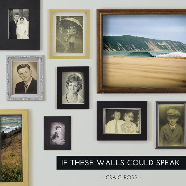 If These Walls Could Speak album cover