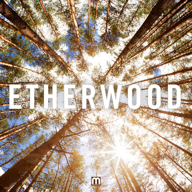 Etherwood album cover