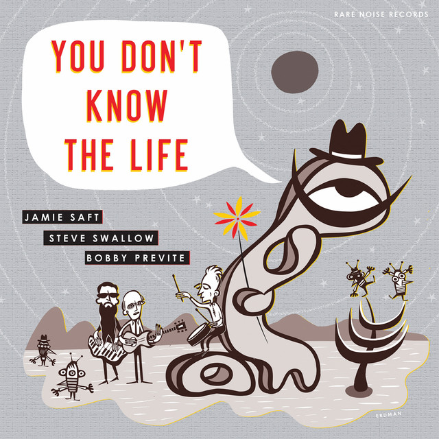 You Don't Know the Life album cover