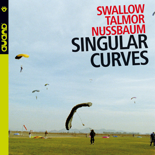 Singular Curves album cover