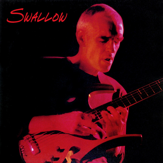 Swallow album cover
