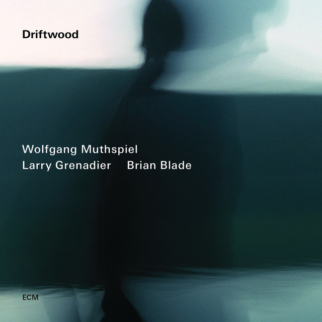 Driftwood album cover
