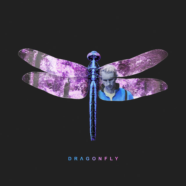 Dragonfly album cover