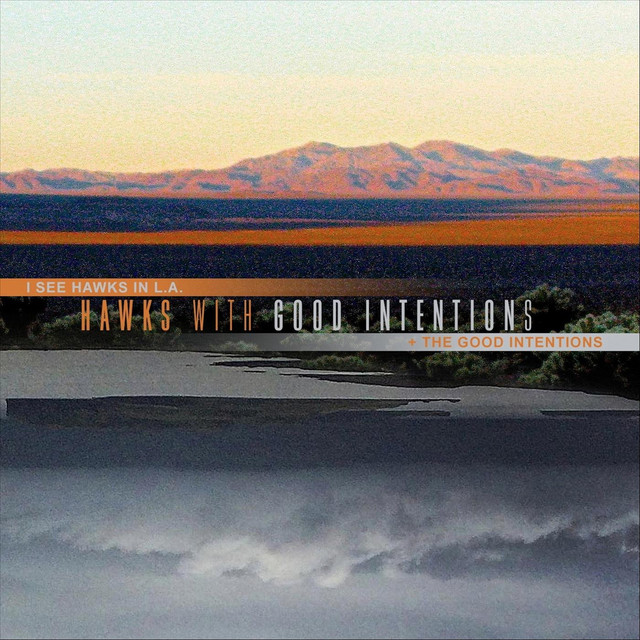 Hawks with Good Intentions album cover
