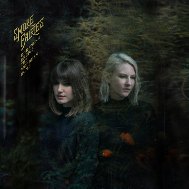 Darkness Brings The Wonders Home album cover