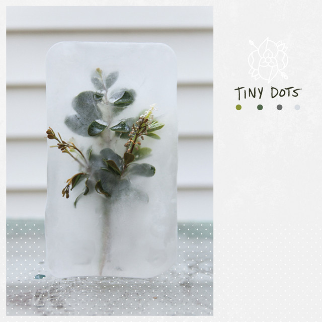 Tiny Dots album cover