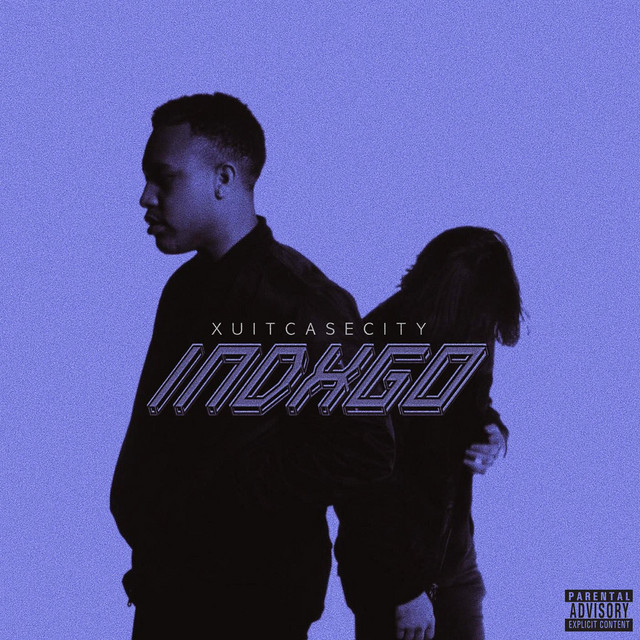 INDXGO album cover