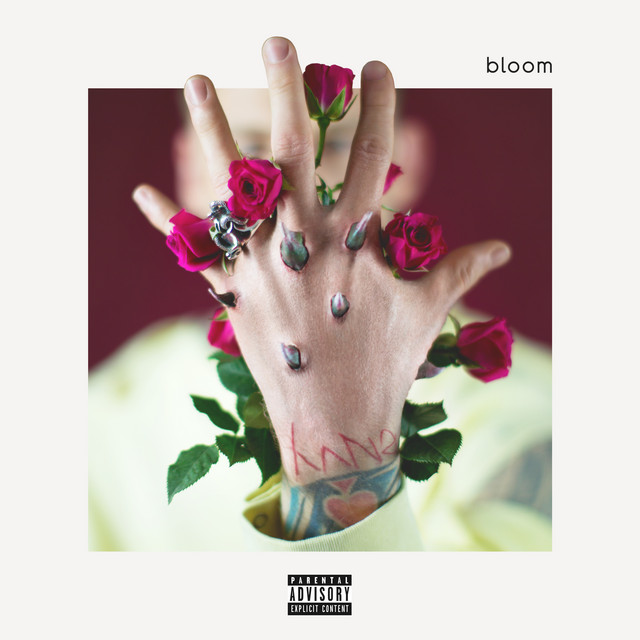 bloom (Deluxe) album cover