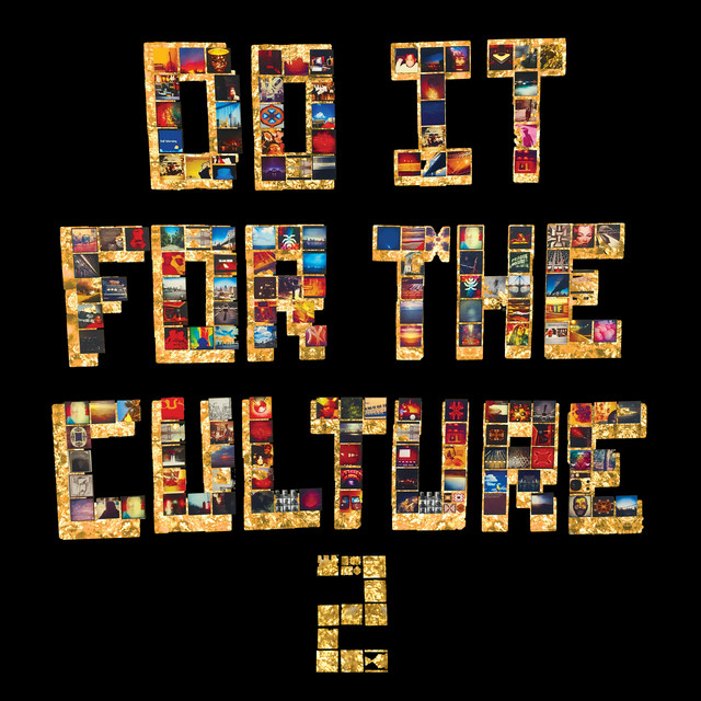Do It FoR ThE CulTuRe 2 album cover