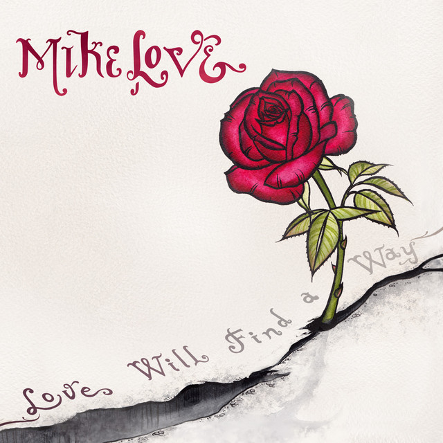 Strymon TimeLine as heard on Love Will Find a Way by Mike Love (2015)