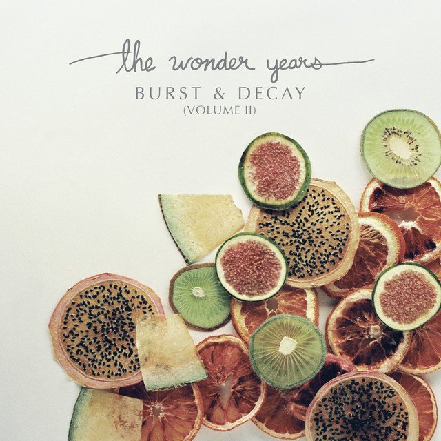 Seagull S6 Original as heard on Burst & Decay (Volume II) by The Wonder Years (2020)