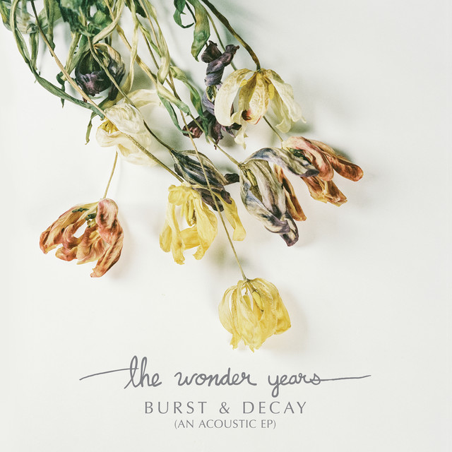 Fender Paramount Series PM-1 Deluxe Dreadnought as heard on Burst & Decay (An Acoustic EP) by The Wonder Years (2017)