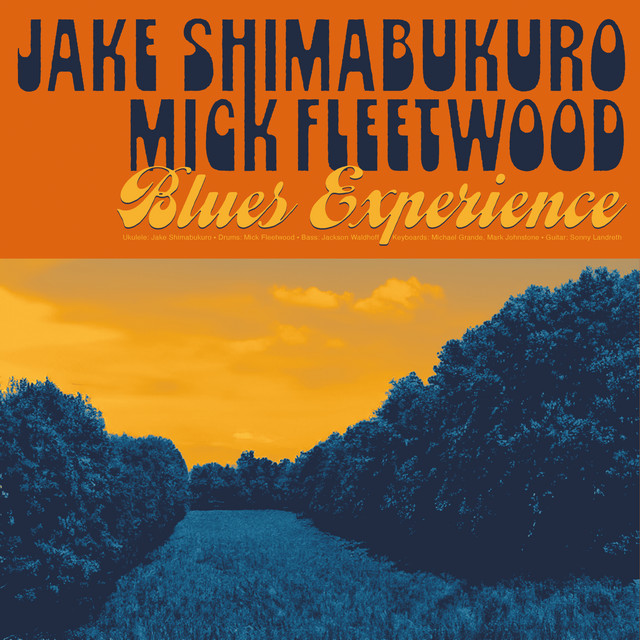 Blues Experience album cover