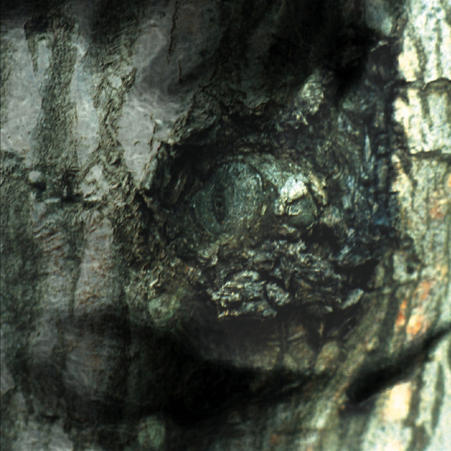 The Waltz of the Monsters album cover