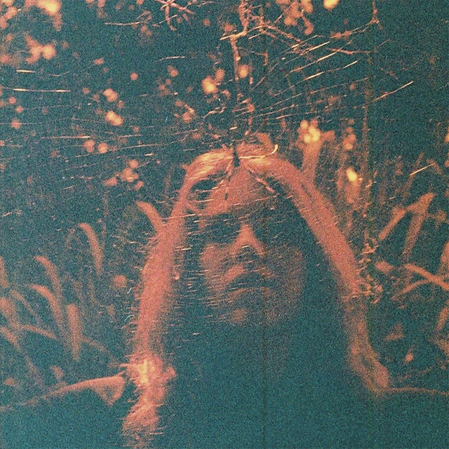 Peripheral Vision album cover