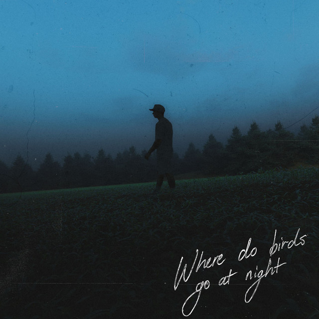 Where Do Birds Go At Night? album cover