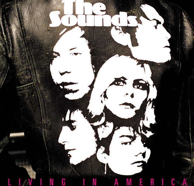 DeArmond M-75T as heard on Living in America by The Sounds (2002)
