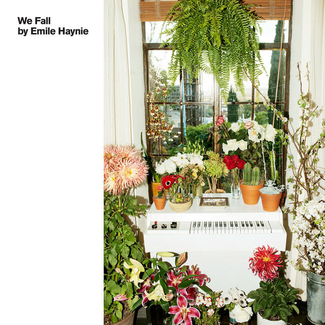 We Fall album cover