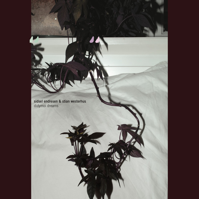 Didymoi Dreams album cover