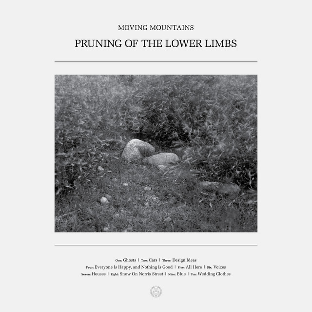 Pruning of the Lower Limbs album cover
