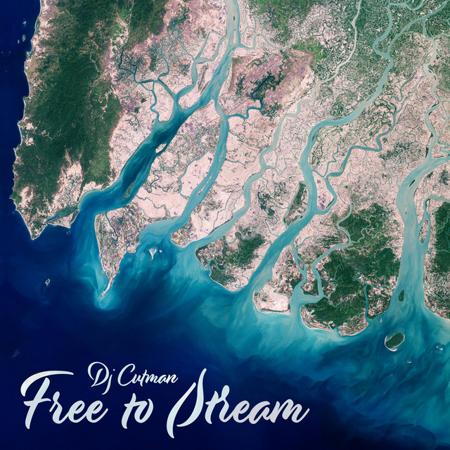 Free to Stream album cover