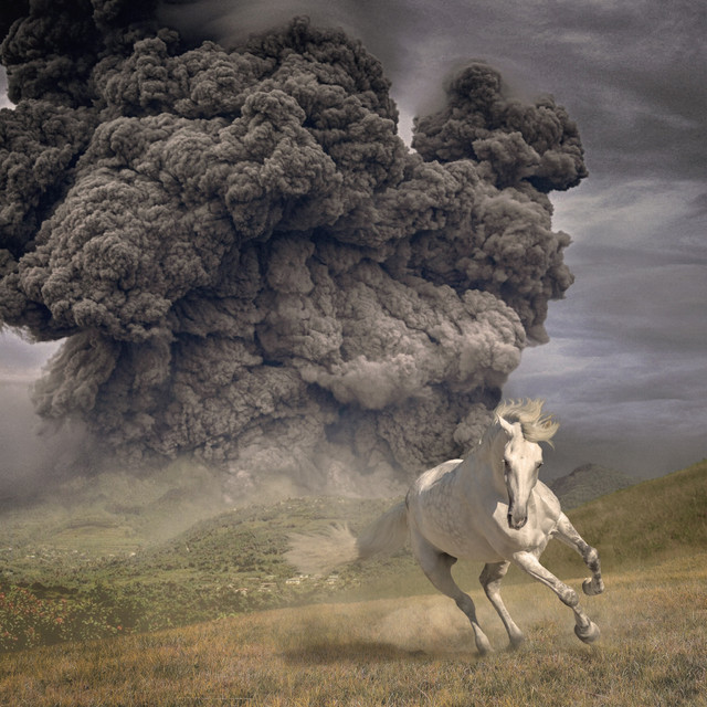 Year Of The Dark Horse album cover