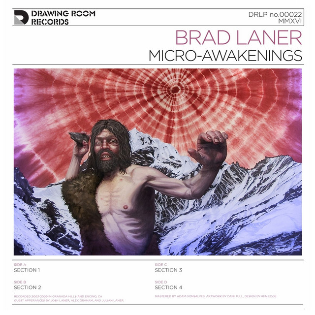 Micro-Awakenings album cover