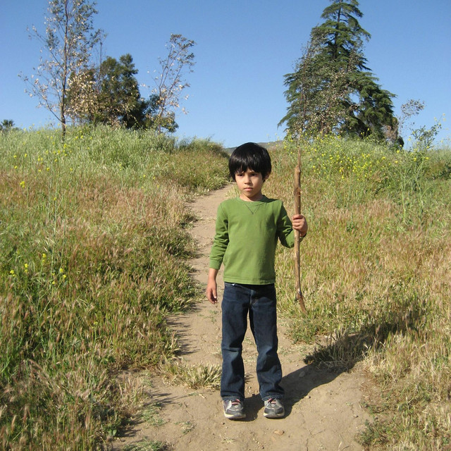 Natural Selections album cover