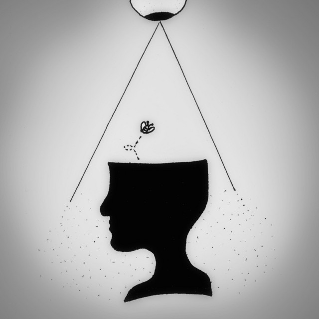 Rumination album cover