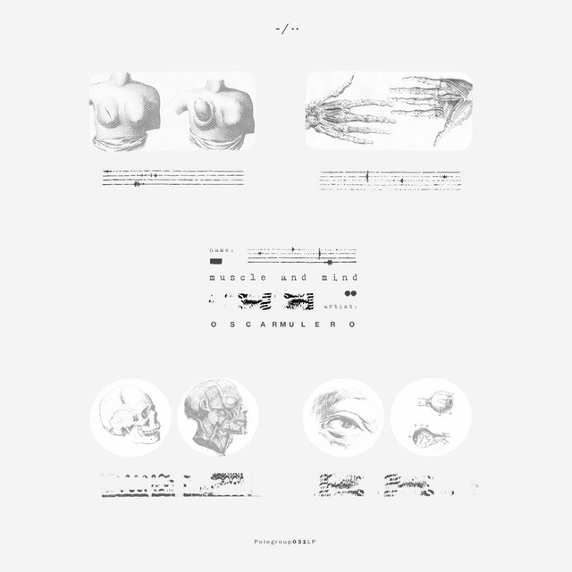 Muscle And Mind album cover
